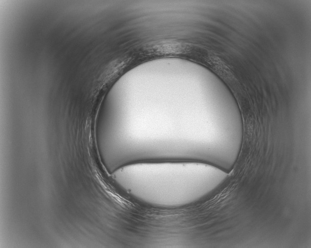 X0000059220398200510140805