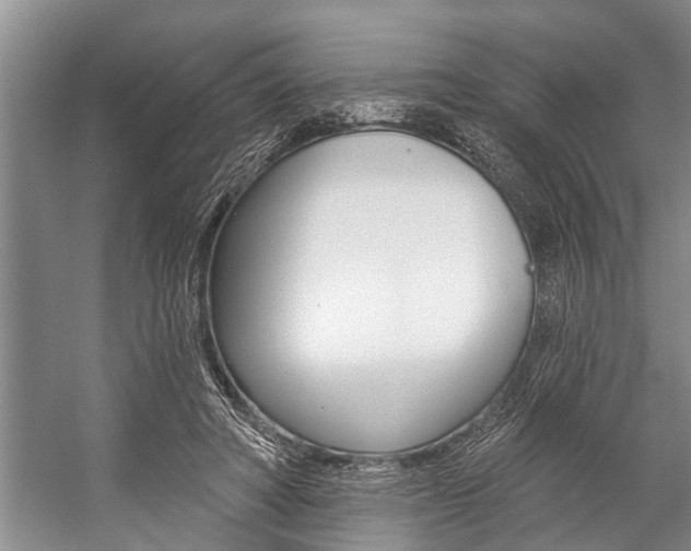 X0000059220402200510140805