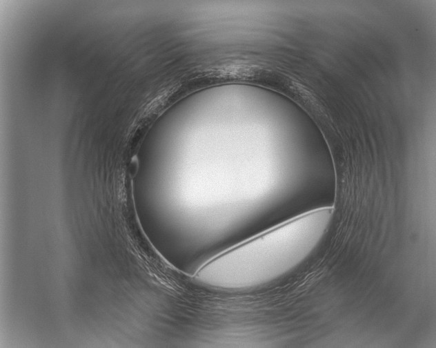 X0000059220403200510140805