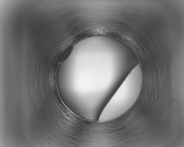 X0000059220409200510140805