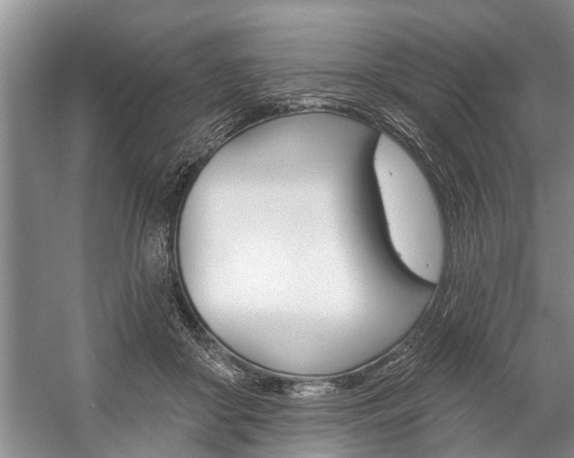 X0000059220410200510140805