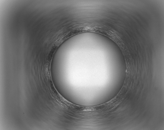 X0000059220415200510140805