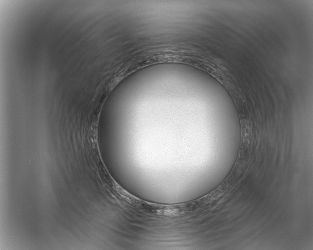 X0000059220419200510140805