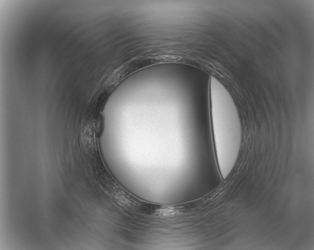 X0000059220425200510140805