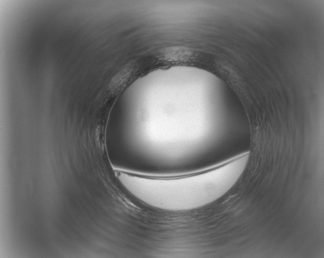 X0000059220428200510140805