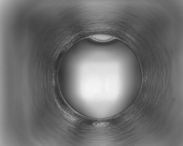 X0000059220452200510140804