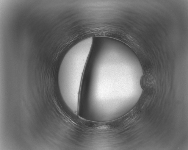 X0000059220456200510140804
