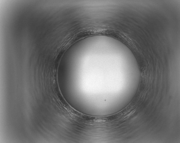 X0000059220462200510140804