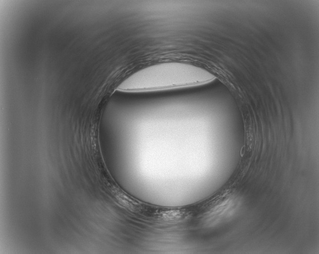 X0000059220473200510140804