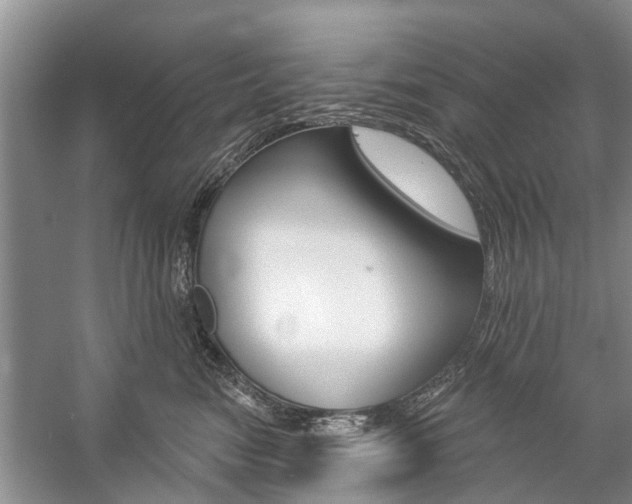 X0000059220474200510140804