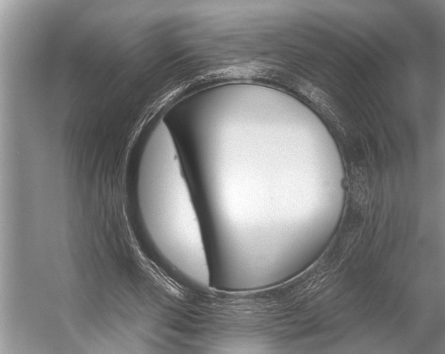 X0000059220486200510140804