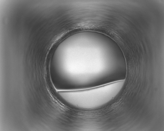X0000059220488200510140804