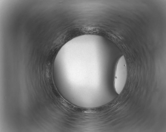 X0000059220515200510140803