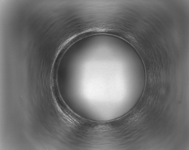 X0000059220536200510140802