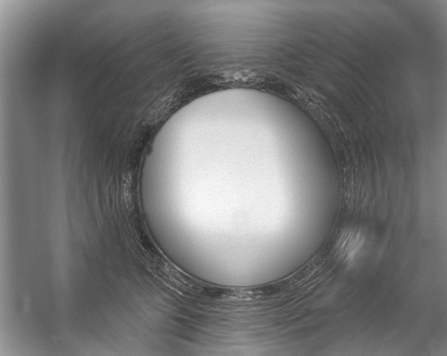 X0000059220563200510140803