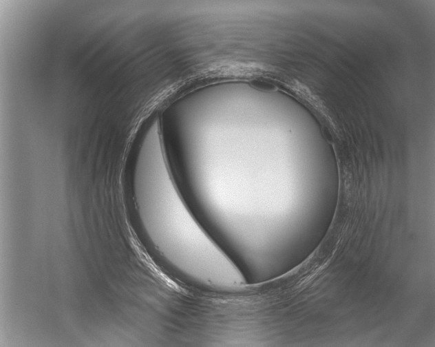 X0000059220581200510140802