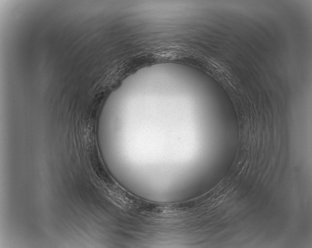 X0000059220601200510140802