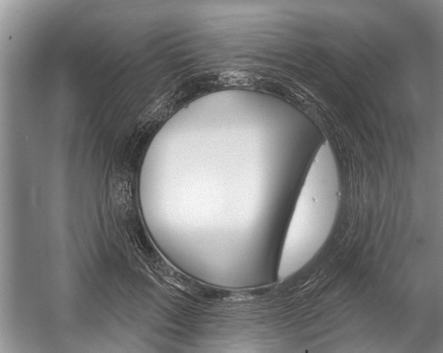 X0000059220603200510140802