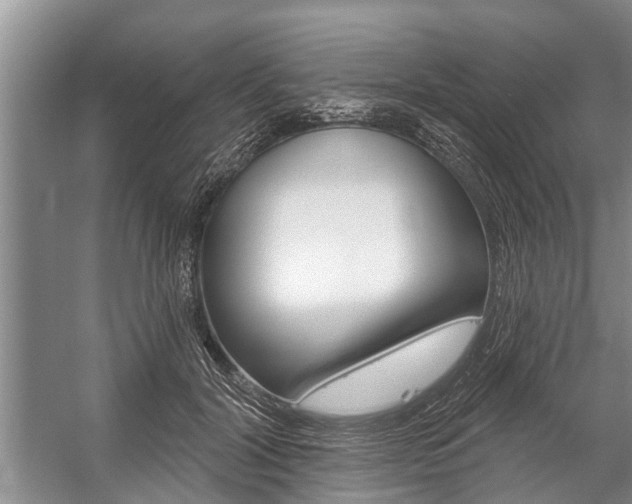 X0000059220604200510140802