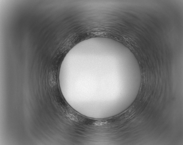X0000059220606200510140801
