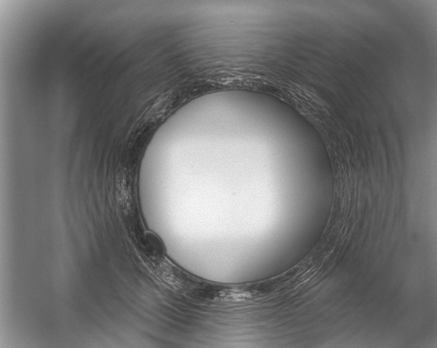 X0000059220607200510140801