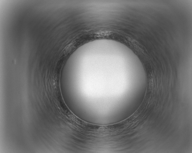 X0000059220608200510140801