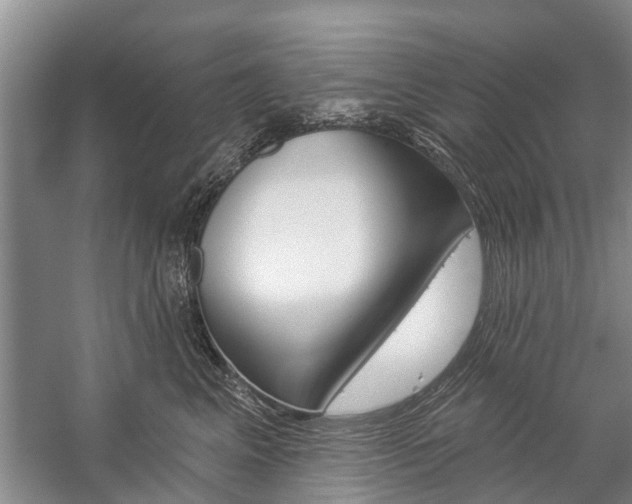 X0000059220617200510140801