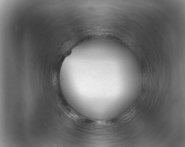 X0000059220623200510140801