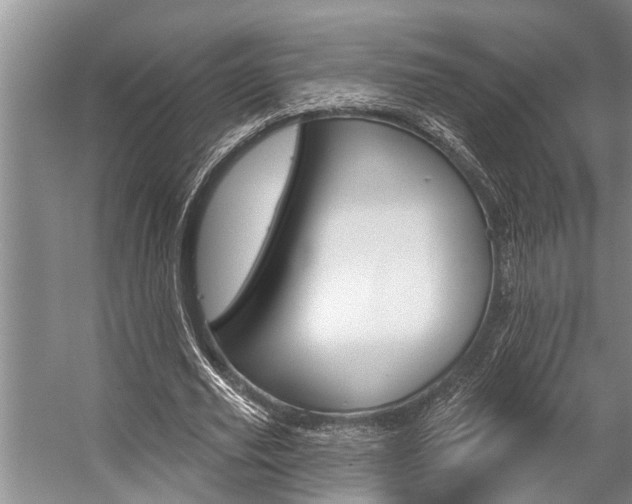 X0000059220629200510140800