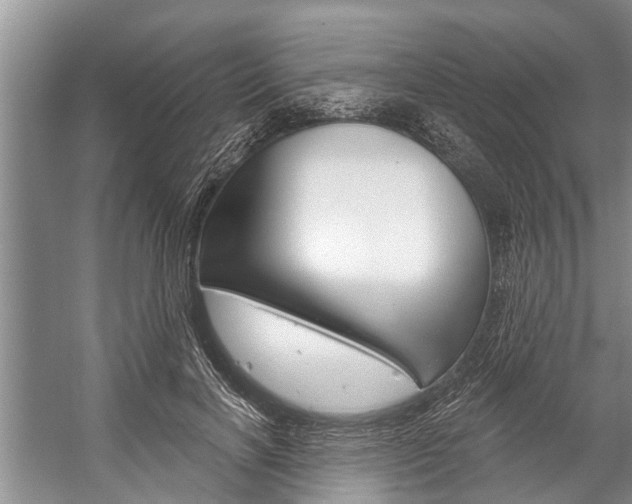 X0000059220646200510140801