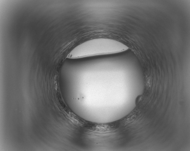 X0000059220666200510140801