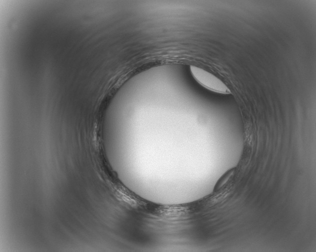 X0000059220670200510140801