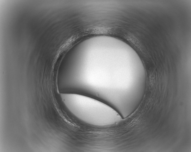 X0000059220682200510140800