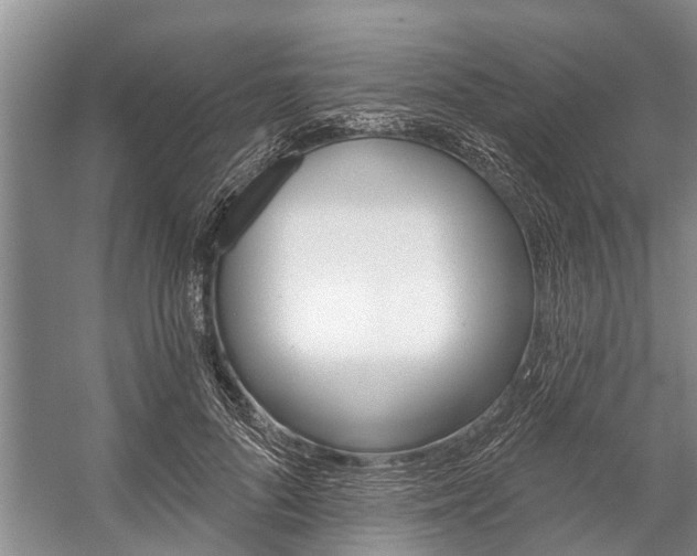 X0000059220696200510140800