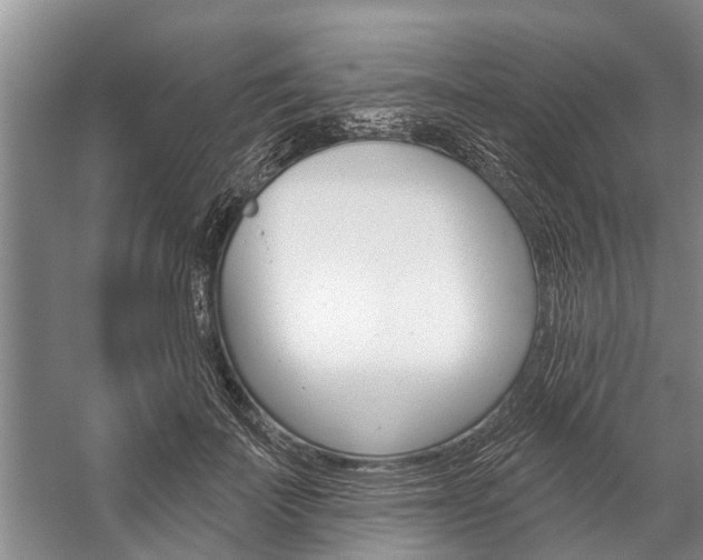 X0000059220699200510140800