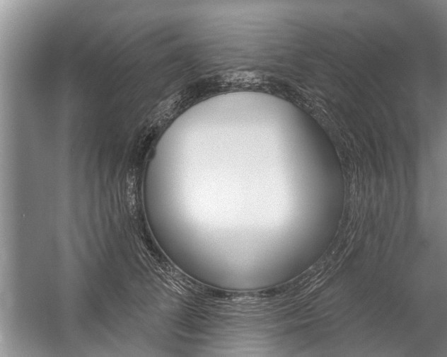 X0000059220708200510140800