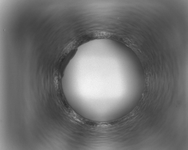 X0000059220716200510140800