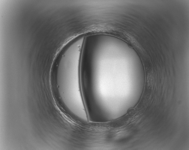 X0000059220722200510140759