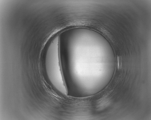 X0000059220723200510140759