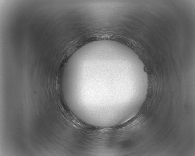 X0000059220761200510140759