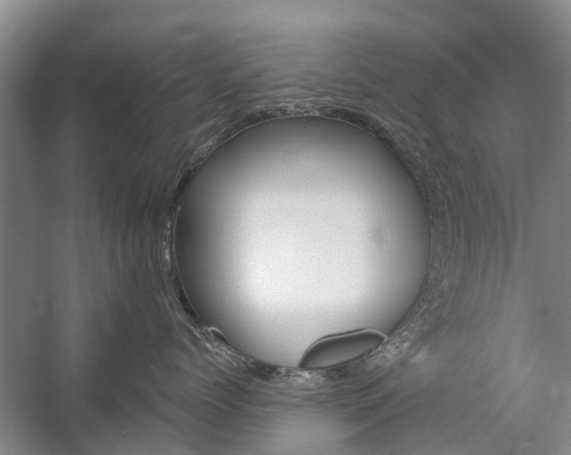 X0000059220768200510140759