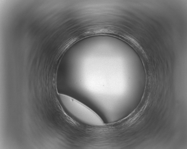 X0000059220793200510140758