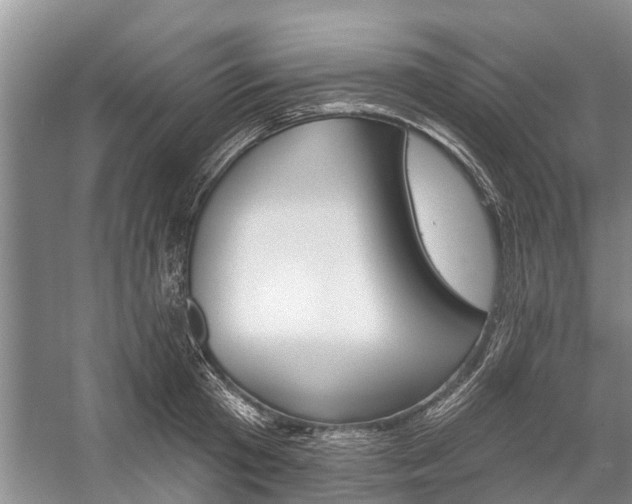 X0000059220801200510140758