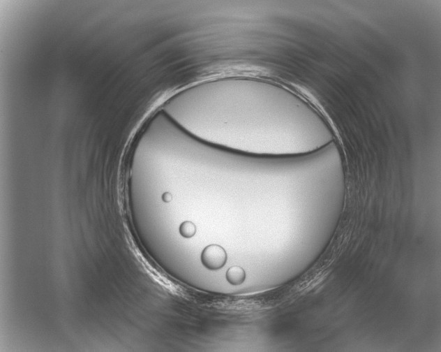 X0000059220851200510140758
