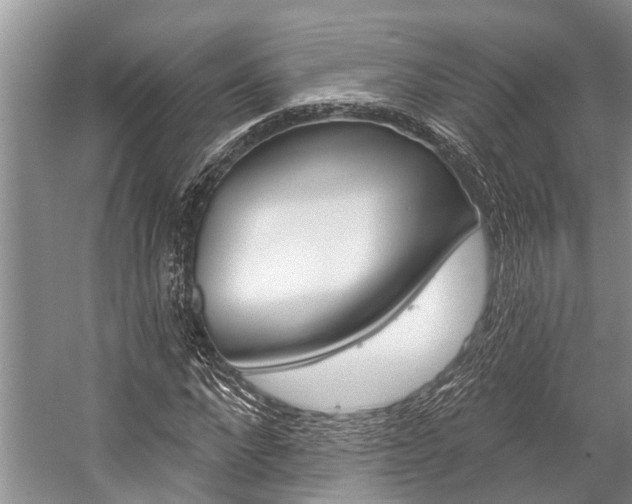 X0000059220872200510140757