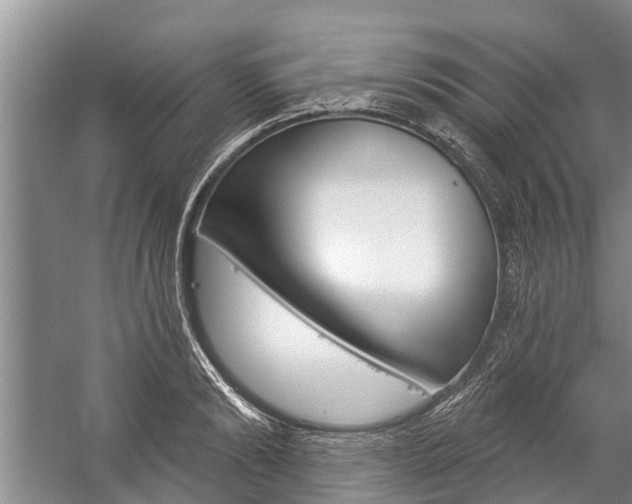 X0000059220894200510140756