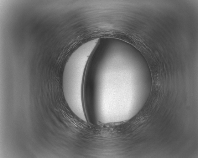 X0000059220916200510140755