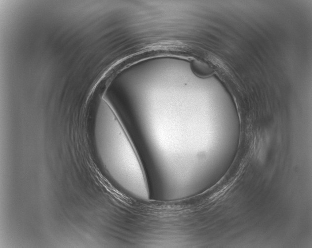 X0000059220923200510140756
