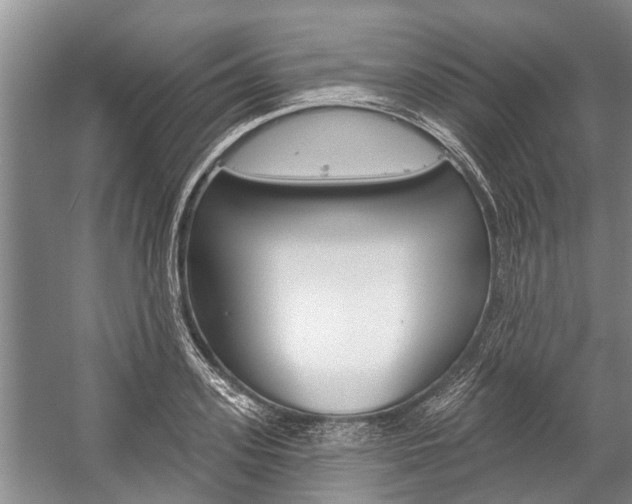 X0000059220939200510140756