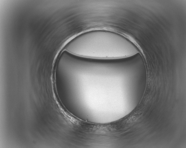 X0000059220951200510140756